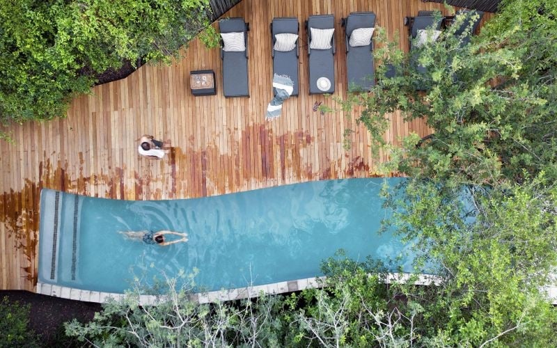 Londolozi Pioneer Camp